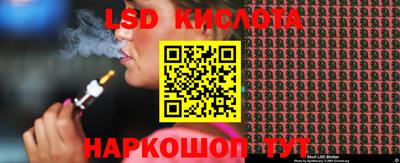 сатива Новозыбков