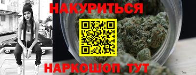 сатива Новозыбков