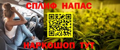 сатива Новозыбков