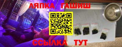 сатива Новозыбков